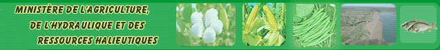 Cnda