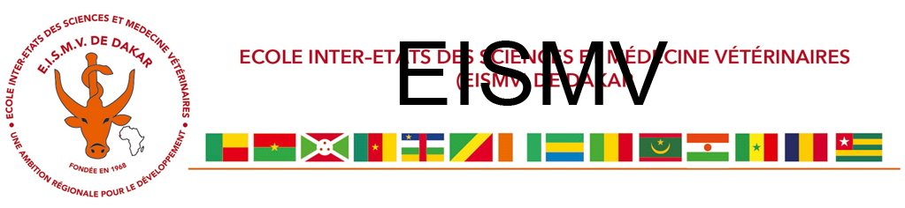 eismv
