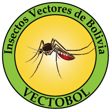 Vectobol